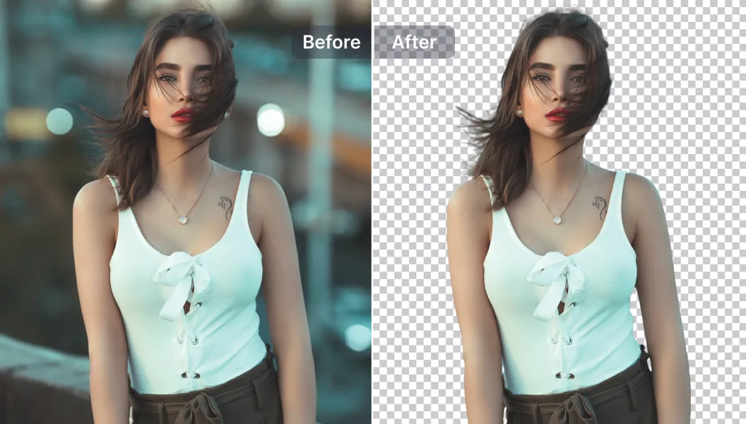 snap main feature